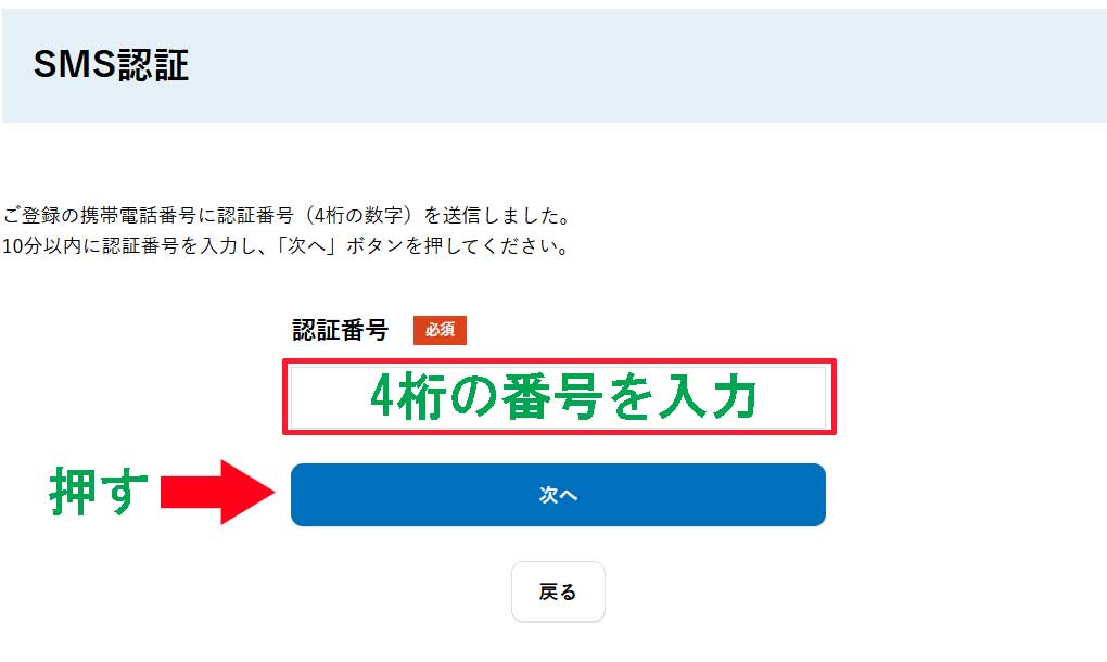 STRIPCHATでVプリカを使う方法